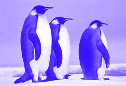Antarctic 1992 &copy; Lars-Inge M&auml;kitalo